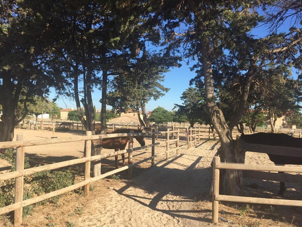 마르세유 Cabanon Du Pecheur, Parc National Des Calanques 빌라 외부 사진